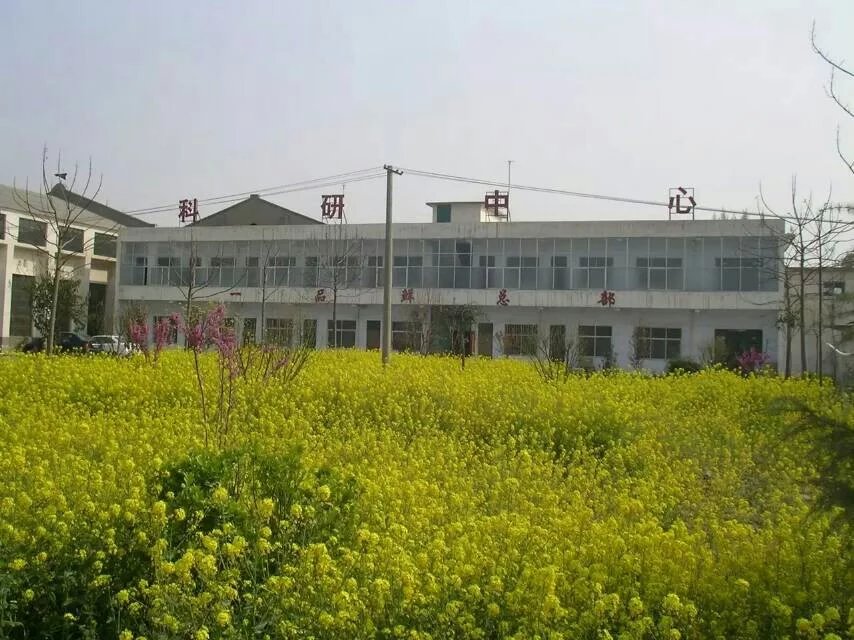 鄭州李先生面館開分店繼續(xù)購買一品鮮多功能拉面機(jī)